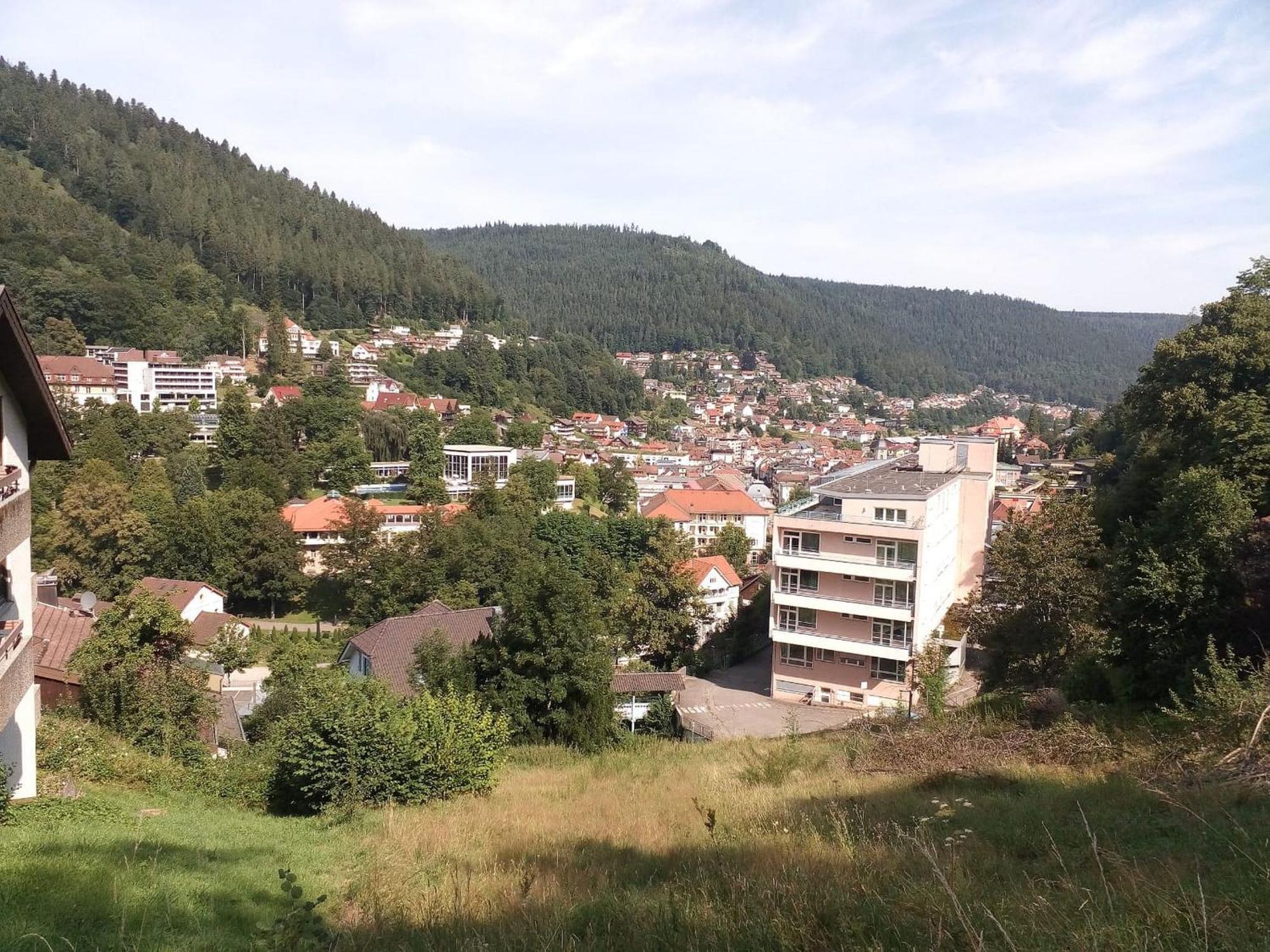 Ferienwohnung Tannenwald Bad Wildbad Bagian luar foto