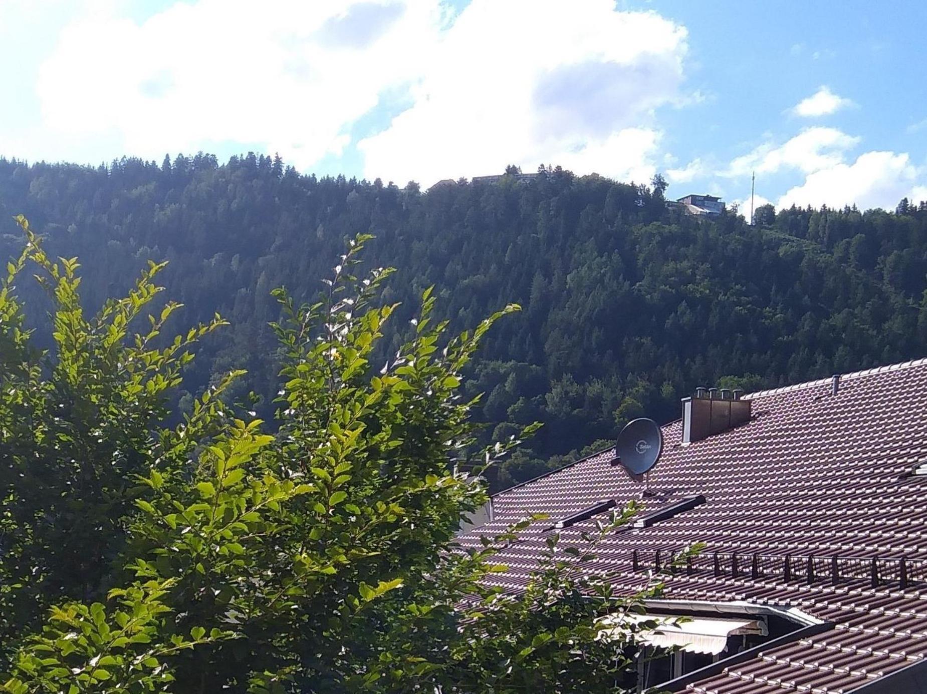 Ferienwohnung Tannenwald Bad Wildbad Bagian luar foto