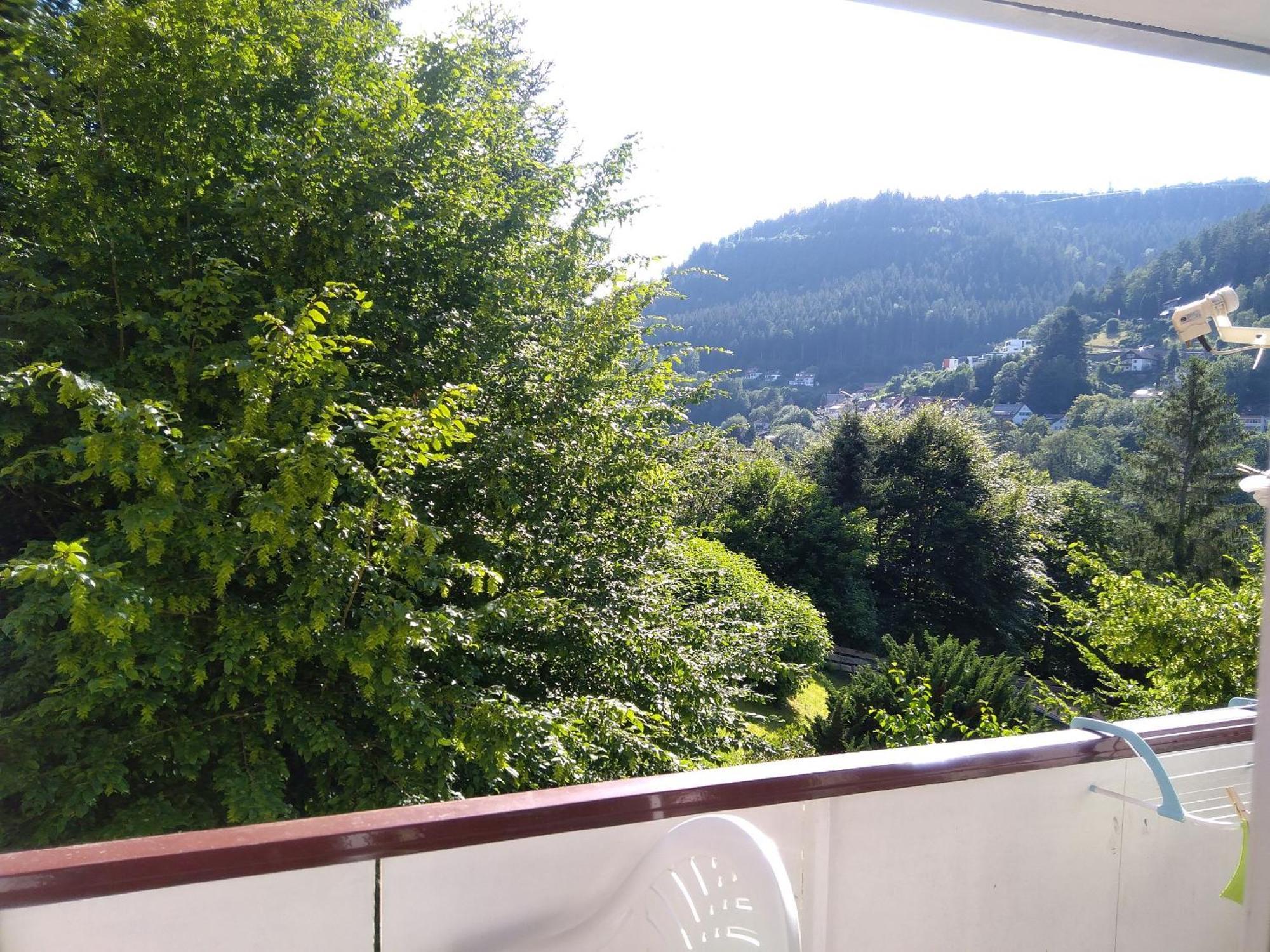 Ferienwohnung Tannenwald Bad Wildbad Bagian luar foto